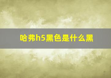 哈弗h5黑色是什么黑