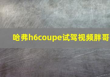 哈弗h6coupe试驾视频胖哥