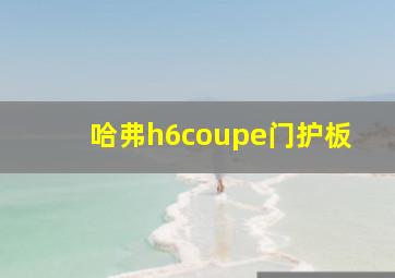 哈弗h6coupe门护板