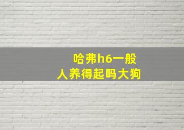 哈弗h6一般人养得起吗大狗