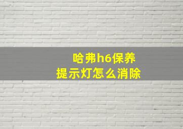 哈弗h6保养提示灯怎么消除