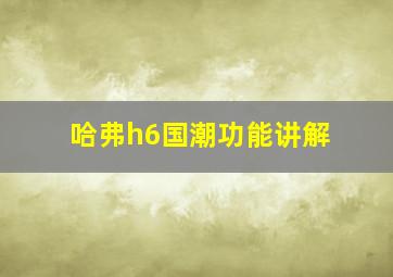 哈弗h6国潮功能讲解