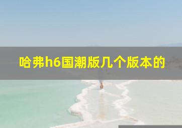 哈弗h6国潮版几个版本的