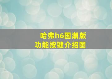 哈弗h6国潮版功能按键介绍图