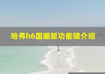 哈弗h6国潮版功能键介绍