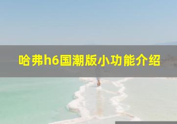 哈弗h6国潮版小功能介绍