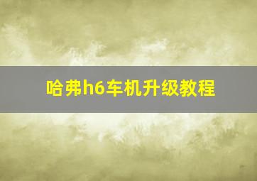 哈弗h6车机升级教程