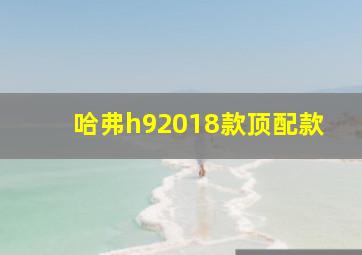 哈弗h92018款顶配款