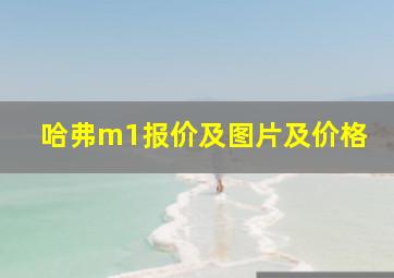 哈弗m1报价及图片及价格