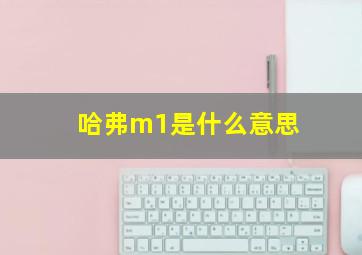 哈弗m1是什么意思