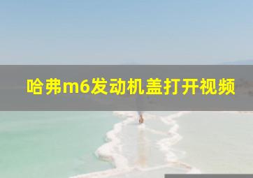 哈弗m6发动机盖打开视频