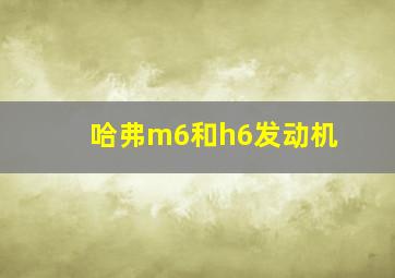 哈弗m6和h6发动机