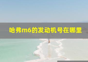 哈弗m6的发动机号在哪里