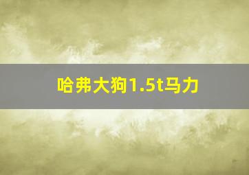 哈弗大狗1.5t马力