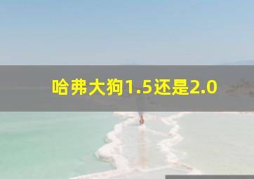 哈弗大狗1.5还是2.0