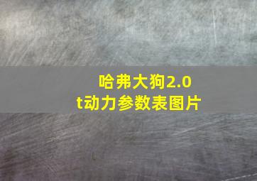 哈弗大狗2.0t动力参数表图片