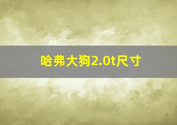 哈弗大狗2.0t尺寸