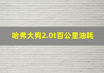 哈弗大狗2.0t百公里油耗