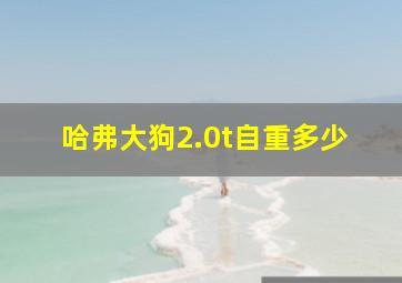 哈弗大狗2.0t自重多少