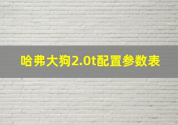 哈弗大狗2.0t配置参数表