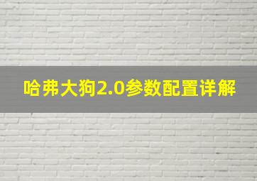 哈弗大狗2.0参数配置详解