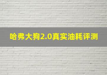 哈弗大狗2.0真实油耗评测