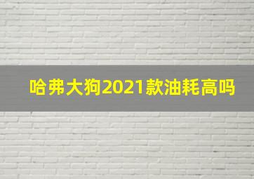 哈弗大狗2021款油耗高吗