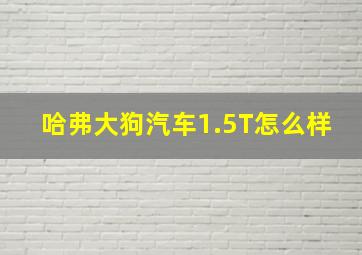 哈弗大狗汽车1.5T怎么样