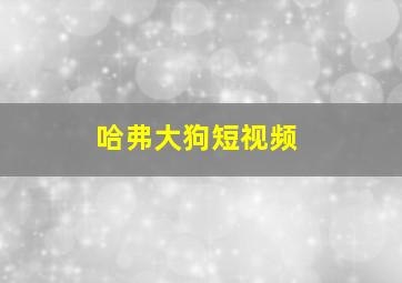 哈弗大狗短视频