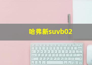 哈弗新suvb02