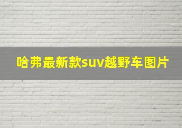 哈弗最新款suv越野车图片