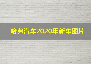 哈弗汽车2020年新车图片