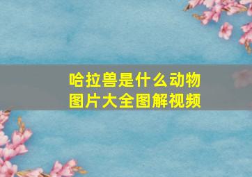 哈拉兽是什么动物图片大全图解视频