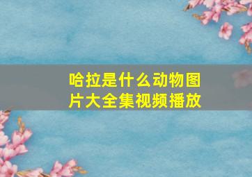 哈拉是什么动物图片大全集视频播放