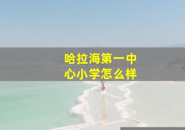 哈拉海第一中心小学怎么样