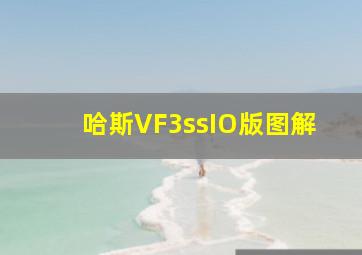 哈斯VF3ssIO版图解