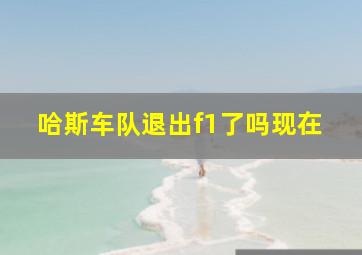 哈斯车队退出f1了吗现在