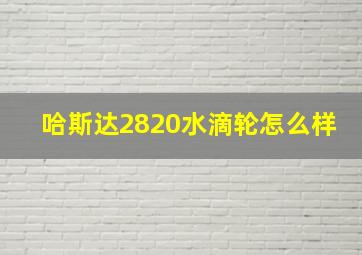 哈斯达2820水滴轮怎么样