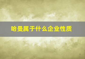 哈曼属于什么企业性质