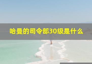 哈曼的司令部30级是什么