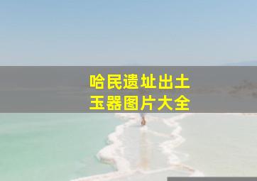 哈民遗址出土玉器图片大全