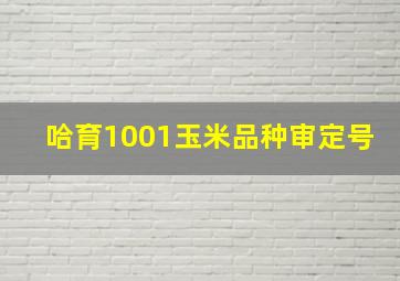 哈育1001玉米品种审定号