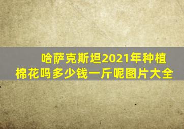 哈萨克斯坦2021年种植棉花吗多少钱一斤呢图片大全