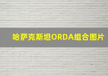 哈萨克斯坦ORDA组合图片