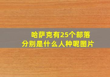 哈萨克有25个部落分别是什么人种呢图片