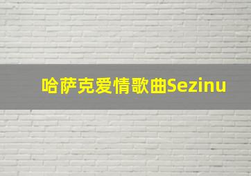 哈萨克爱情歌曲Sezinu