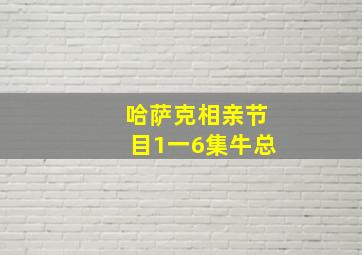 哈萨克相亲节目1一6集牛总