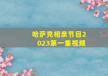 哈萨克相亲节目2023第一集视频