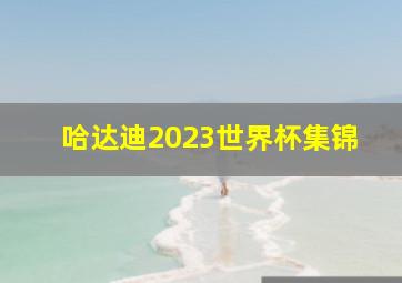 哈达迪2023世界杯集锦