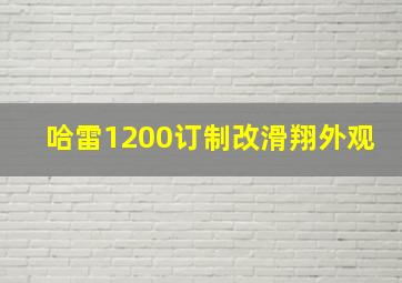 哈雷1200订制改滑翔外观